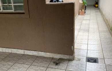 Imagem 2: Troco por chácara ou vendo !