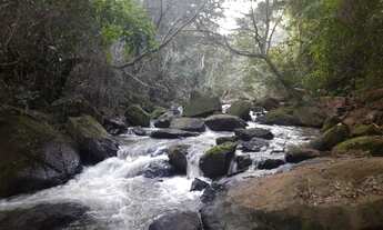 Imagem 2: Sítio venda 43 Hectares em Santa Leopoldina linda casa sede muito confortável lindas cac