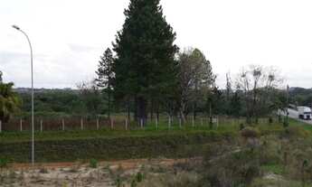 Imagem 2: Pelotas - Terreno Padrão - Distrito Ponte Cordeiro de Farias