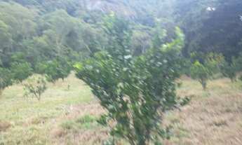 Imagem 5: Propriedade pedras azul 24 alqueires