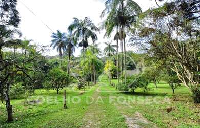 Imagem 7: Cotia - Terreno Padrão - Chácara Granja Viana