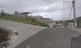 Imagem 5: Terreno próximo a estrada do tingui