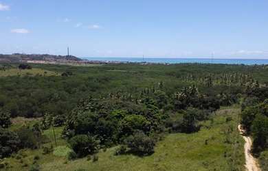 Imagem 2: Vendo 52hc de Terra em Maragogi