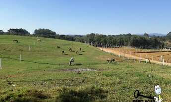 Imagem 2: Chácara com 1 dormitório à venda, 10000 m² por R$ 1.200.000,00 - Colônia Murici - São José