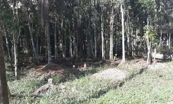 Imagem 2: Terreno no Mariscal