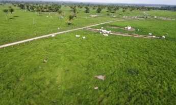 Imagem 4: Vendo fazenda de 415 alq em Ananás TO