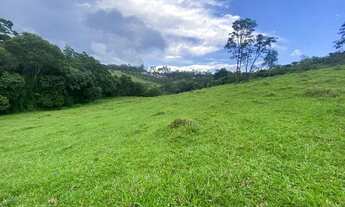 Imagem 4: PA - Vende-se terreno com ótimo preço!!!