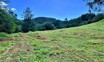 Imagem 7: Fazenda/Sítio/Chácara para venda tem 1000 metros quadrados com 1 quarto em Itacolomi - Gra