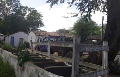 Imagem 3: Fazenda para pessoa de bom gosto 480 hectares encantadora