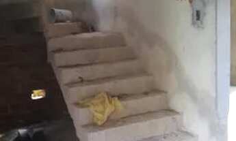 Imagem 1: Grande oportunidade