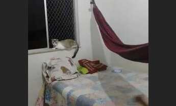 Imagem 5: Vendo ou Alugo Apartamento com 2 dormitórios