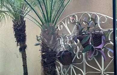 Imagem 4: Sobrado na Água Fria com 3 suítes, 8 vagas de garagens destravadas com 290M2 de garagem co