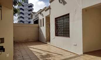 Imagem 3: Locação de Casas / Padrão na cidade de Araraquara