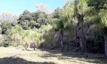 Imagem 4: VALE REAL - Casa Padrão - NÃO IDENTIFICADO