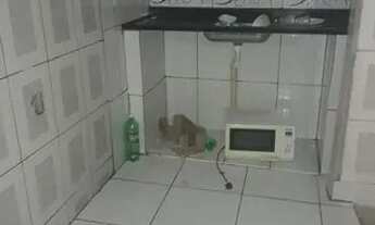 Imagem 6: NS107 Casa para venda em Cajazeiras X