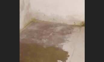 Imagem 4: Casa pra alugar próximo Garbosa da feirinha