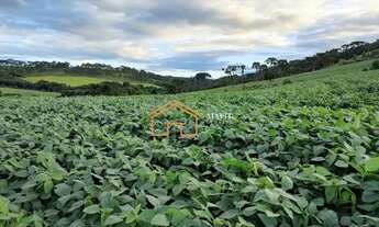 Imagem 7: Terreno Rural 140.000m² com 8 hectares de lavoura pronta em Campo Belo do Sul - SC