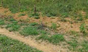 Imagem 6: VENDO CHÁCARA RICA EM ÁGUA E PRODUÇÃO NA PONTE ALTA CASA GRANDE