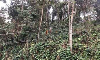 Imagem 2: Terreno à venda, 720 m² por R$ 300.000,00 - Parque Residencial Itapeti - Mogi das Cruzes/S