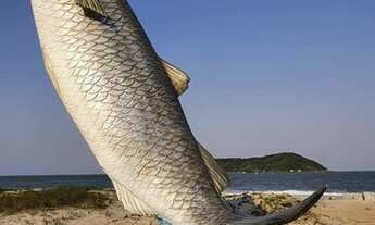 Imagem: Casa perto da praia e no centro ideal para