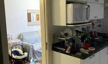 Imagem 7: SãO PAULO - Padrão - Chácara Santo Antônio