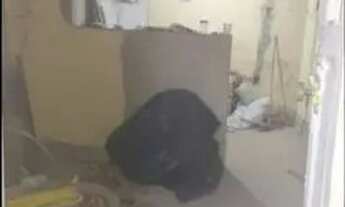 Imagem 6: Vende-se casa Casa com 2 dormitórios