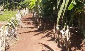 Imagem 3: Chácara Villa rural de Iguaraçu