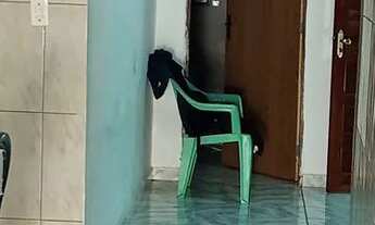 Imagem: Casa pra vender