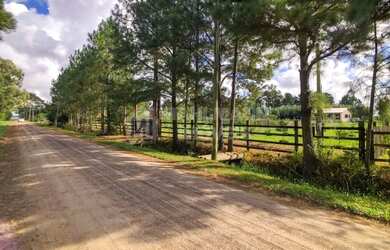 Imagem 3: Sítio com casa nova em alvenaria, piscina e horta no Túnel Verde