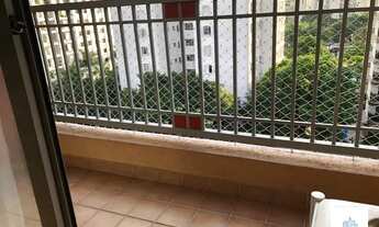 Imagem 2: SãO PAULO - Padrão - Jardim Marajoara