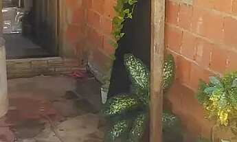 Imagem 2: Vende-se uma casa