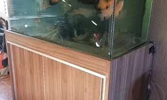 Imagem 2: Aquário Casa com venda por R$2.500