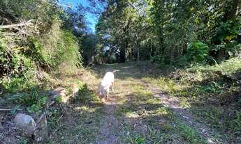 Imagem 5: Sítio De Barbada Só R$ 19.900 - E Ainda Parcelo Direto. ROB:659