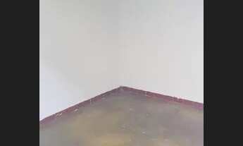 Imagem 5: Barracão - Setor Cruzeiro do Sul