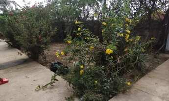 Imagem 7: Chácara 20.000m² casa 3 suítes, próximo ao Mateus do Maiobão