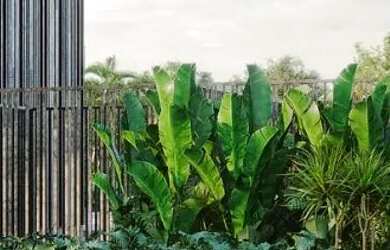 Imagem 2: Sunset Boulevard 2