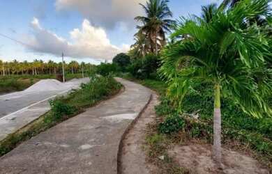 Imagem 6: Loteamento mirantes de jequia