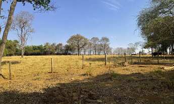 Imagem 3: Chácara px Anápolis