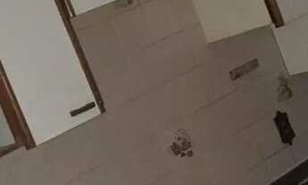 Imagem 4: Apartamento centro sg