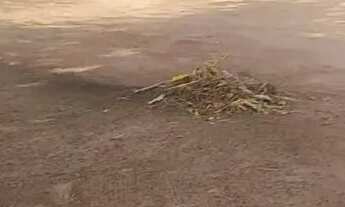 Imagem 3: Imóvel para venda possui 420 metros quadrados com 2 quartos em Grande Terceiro - Cuiabá