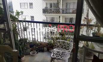 Imagem 5: EXCELÊNCIA DA VILA MARIANA