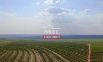 Imagem 7: Fazenda em Mineiros-GO. Área Total: (379 Alqueires) 1.835 Há
