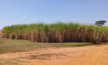 Imagem 6: FAZENDA COM 200 ALQUEIRES PAULISTA, EM DIRCE REIS- SP