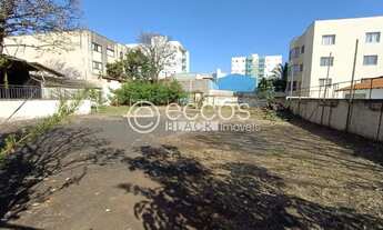 Imagem 4: Imóvel Comercial para aluguel, Patrimônio - Uberlândia/MG