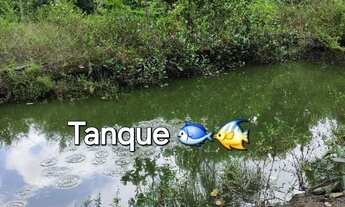 Imagem 10: LINDA CHÁCARA Chácara com venda por R$230.000