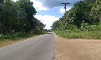 Imagem: Terreno / Áreas 204 Hectares em Novo Airão