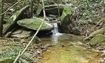 Imagem 7: Fazenda à Venda em Anápolis - GO 37 Alqueires Rica em Água