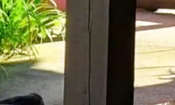 Imagem 3: Pousada com 6 dormitórios à venda, 360 m² por R$ 2.000.000,00 - Praia do Rosa. - Imbituba