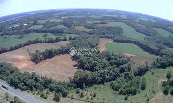 Imagem: TERRENO À VENDA NA LAGOA SUJA ARAUCÁRIA