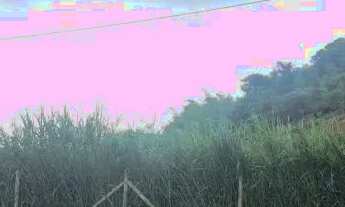 Imagem 5: AREA - PORTÃO - SP